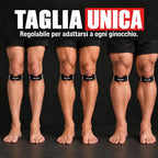 Cinghia rotulea