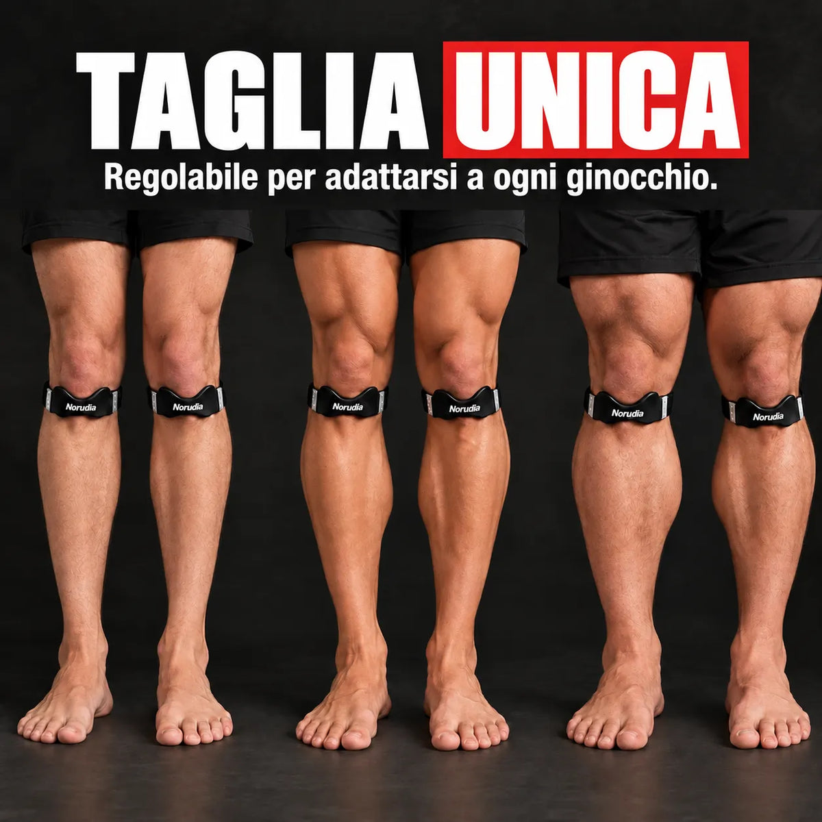 Cinghia rotulea