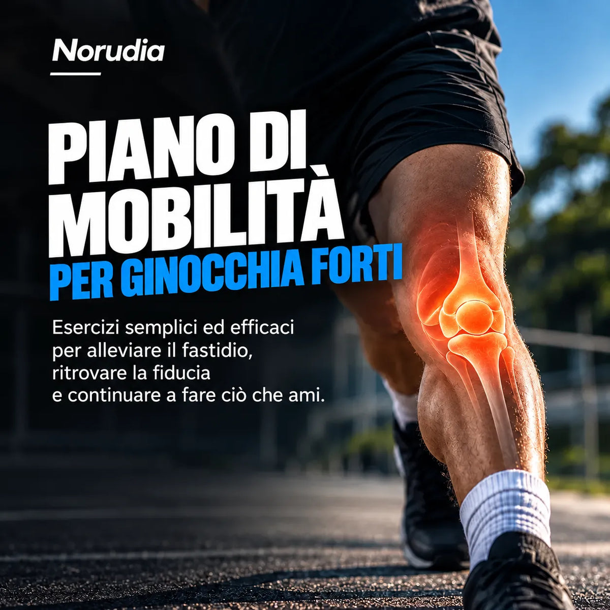 Piano di mobilità per ginocchia forti